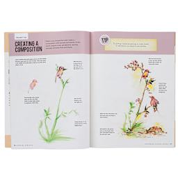 Special Subjects: Beginning Chinese Brush