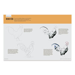 Drawing: Animals in Colored Pencil, Project Page