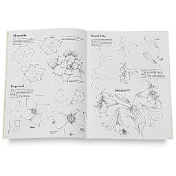 Drawing: Flowers with William F. Powell