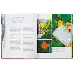 Painting the Impressionistic Landscape