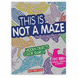 This is Not a Maze: Hidden Objects Color Search - Front cover of Book
