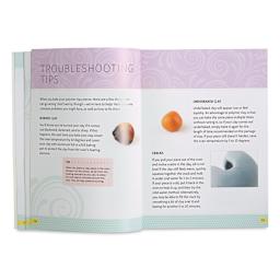 Polymer Clay for Beginners - Spread troubleshooting potential problems
