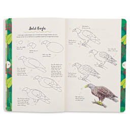 Ten-Step Drawing: Animals - Spread showing steps to draw a Bald Eagle
