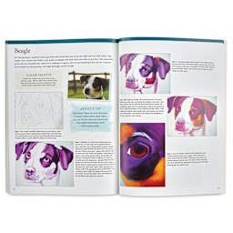 The Art of Painting in Acrylic - Painting a Beagle Spread