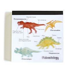 Green Flash Study Holic Square Memo Pad, Paleontology