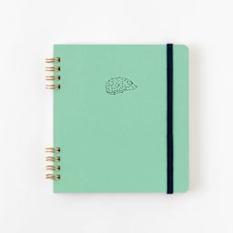 Green Flash Animal Spiral Notepad, Hedgehog