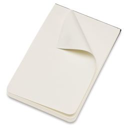 Moleskine Art Collection Sketch Pad - 3-1/2" x 5-1/2", Black