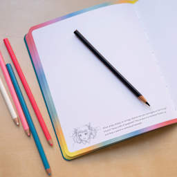 The Pop Manga Sketchbook (sketchbook open with pencils -pencils not included)