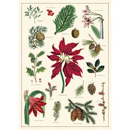 Cavallini Holiday Gift Wrap - Christmas Botanical