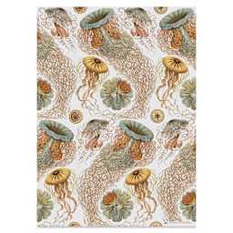 Pepin Press Creative Paper Book - Art Forms In Nature, jellyfish