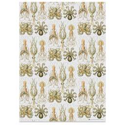 Pepin Press Creative Paper Book - Art Forms In Nature, octopi