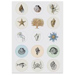 Pepin Press Label, Sticker & Tape Book - Natural History, 6-1/2" x 9-1/2", ocean life