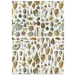 Labels, Stickers, and Tapes Book - Natural History, 6-1/2" x 9-1/2", various ocean life stickers