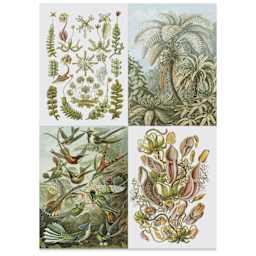 Labels, Stickers, and Tapes Book - Art Forms In Nature, 6-1/2" x 9-1/2", birds and plants