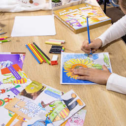 Amazing Ideas! Packs Draw! Pack