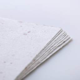 Awagami Postcards, Set of 10 - Onion Colors