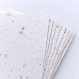 Awagami Postcards, Set of 10 - Onion Colors