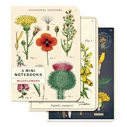 Cavallini Wildflowers Mini Notebooks, package of three