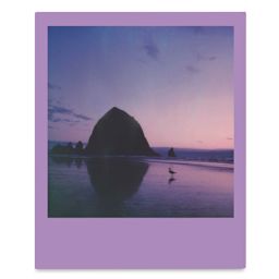 Polaroid Originals Color Film