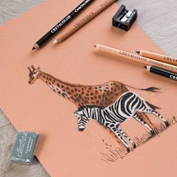 Artist Pencil Sketching Safari 7-Piece Set