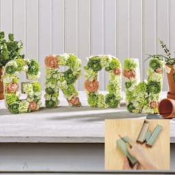 Desert DryFoM Floral Foams 7.8" x 3.4" x 2.6" Block - Green