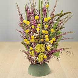 Desert DryFoM Floral Foams 3.8" x 1.9" Half Ball - Green