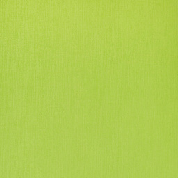 Fabriano Ecoqua Original Spiral-Bound Notebook, 8.3 in x 11.7 in, A4, Lined, 70 Sheets, Lime