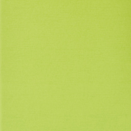 Fabriano Ecoqua Original Staple-Bound Notebook, 5.8 in x 8.3 in, A5, Graph, 40 Sheets, Lime