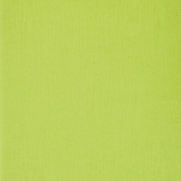 Fabriano EcoQua Original Staple-Bound Notebook, 8.3 in x 11.7 in, A4, Dotted, 40 Sheets, Lime
