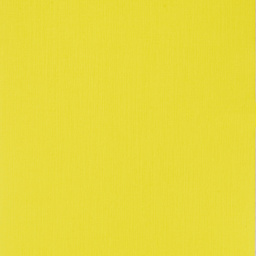 Fabriano EcoQua Original Staple-Bound Notebook, 8.3 in x 11.7 in, A4, Dotted, 40 Sheets, Yellow