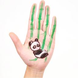 Face Paint Sticks Set 6-Color Set