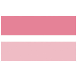 Mark+ 2 Tone Marker Pink