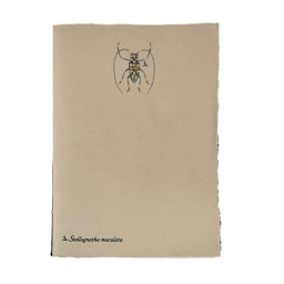 LAMALI Tresor Toned Soft-Cover Handmade Journal, 96 Pages, Toned Grey