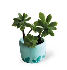 Air Dry Clay Packs Pastel Light Green  - 1.1 lb.