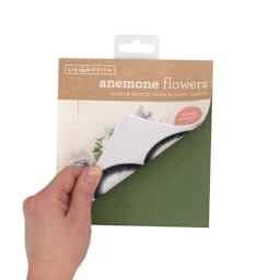 LG PPR STACK 6X6.5 ANEMONES