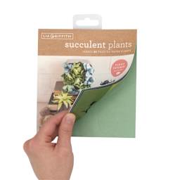 Frosted Paper Stack Kits Succulent Plants Kit