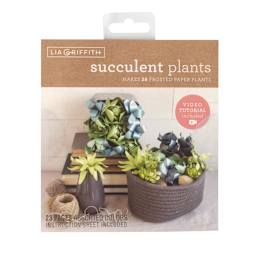 Frosted Paper Stack Kits Succulent Plants Kit