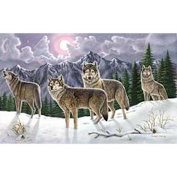 Adult Painting by Numbers Kits Wolves, 11 3/8" x 15 3/8"  - Peggable