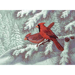 Adult Painting by Numbers Kits Cardinals, 11 3/8" x 15 3/8" - Peggable