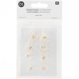 Pressed Flower & Plant Sets Delphinium - White, 8/Pkg.