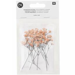 Rico Design Pressed Flowers - Gypsophilia - Peach Pkg of 8