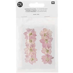 Pressed Flower & Plant Sets Delphinium - Pink, 8/Pkg.