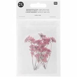 Pressed Flower & Plant Sets Ammi Branch - Pink, 4/Pkg.