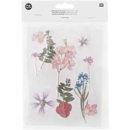 Pressed Flower & Plant Sets Pink Violet Mix - 11 Pcs./Pkg.