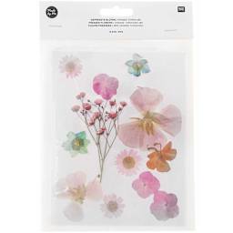 Pressed Flower & Plant Sets Orange Turquoise Mix - 13 Pcs./Pkg.