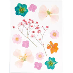 Pressed Flower & Plant Sets Orange Turquoise Mix - 13 Pcs./Pkg.
