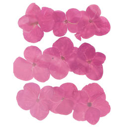 Rico Design Pressed Flowers - Hydrangea Pkg of 9