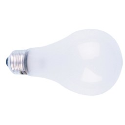 PHOTO FLOOD BULB