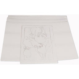 Polyprinting Foam Plate 9"x12"