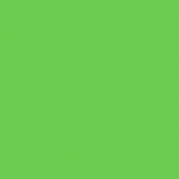 Fabriano Vice Versa Paper Sheet, 20 in x 27.5 in, 220 gsm, Pea Green